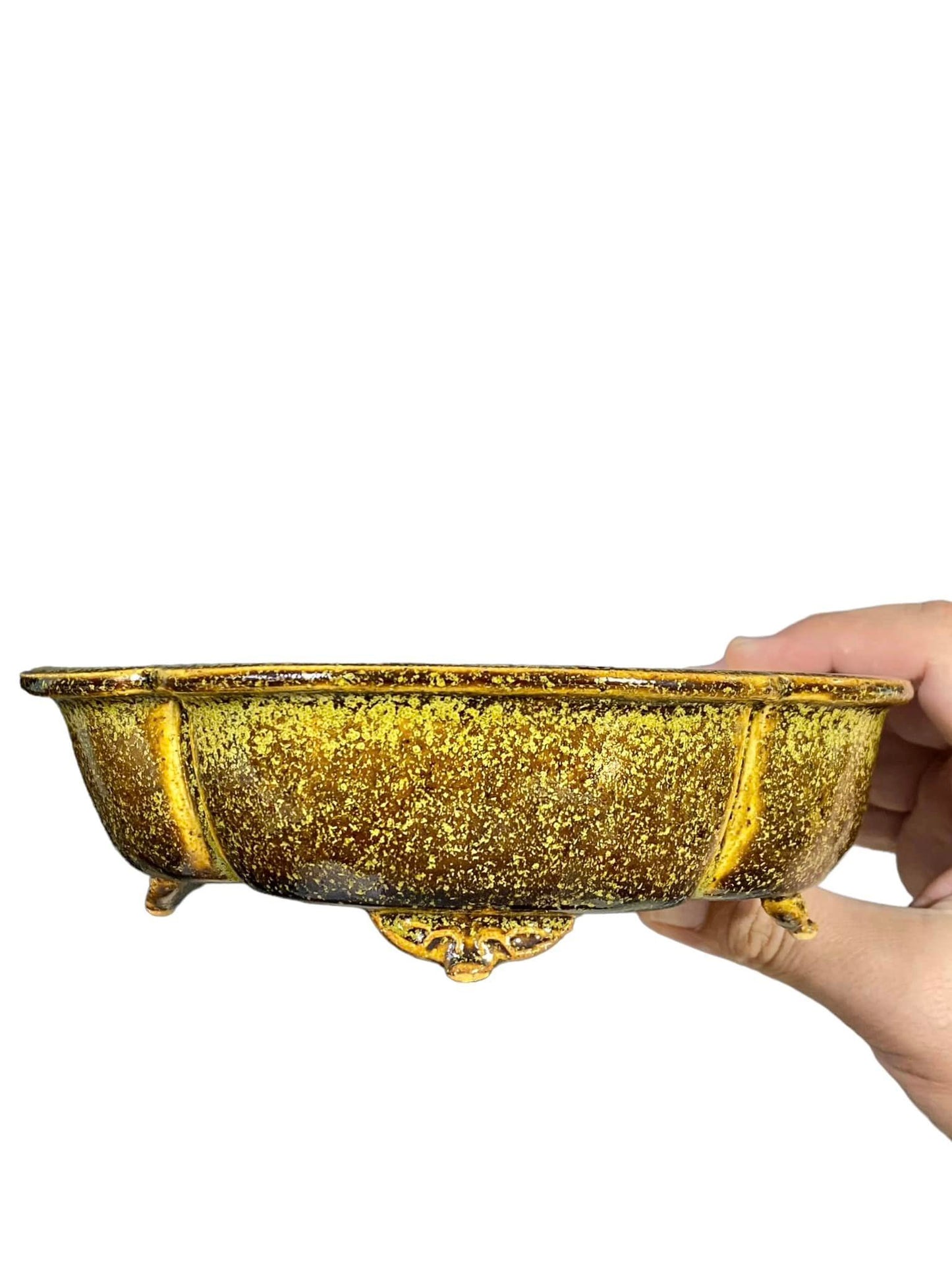 Kiyoshi Kiowai “Fuka” - Gold Glazed Mokko Bonsai Pot (7-1/2" wide)