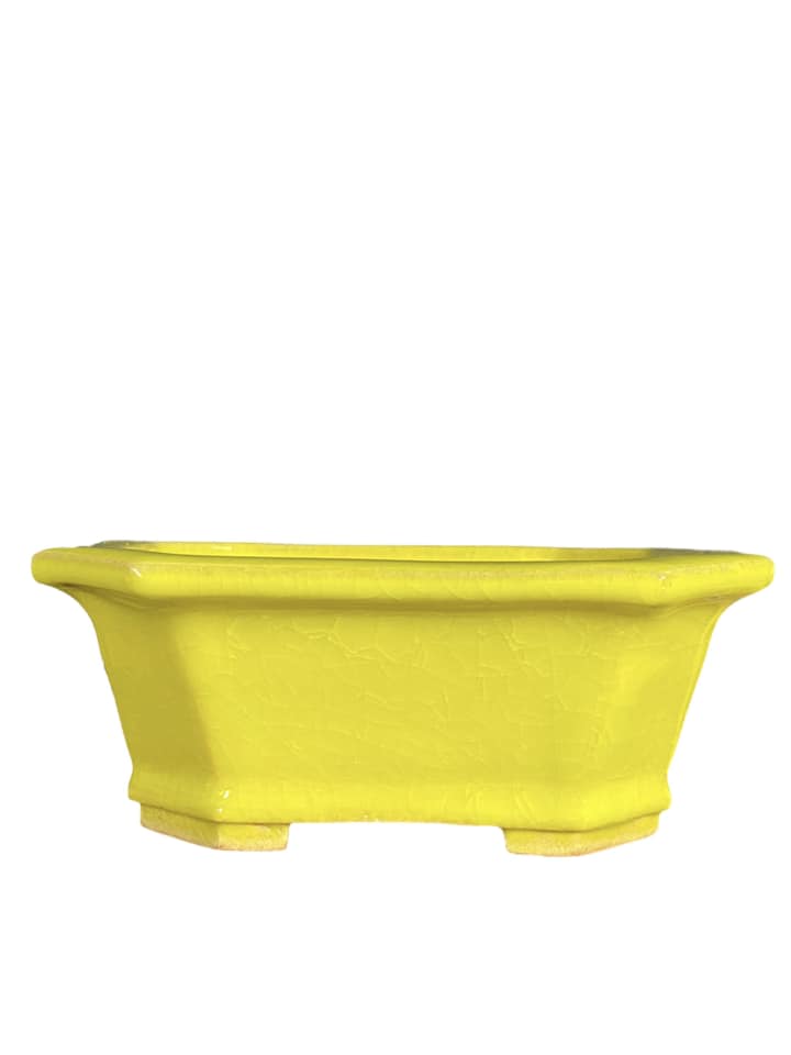 Fukuda Keiun - Bright Yellow Glazed Rectangle Bonsai Pot (5-7/16" wide)