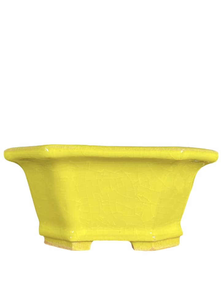 Fukuda Keiun - Bright Yellow Glazed Rectangle Bonsai Pot (5-7/16" wide)