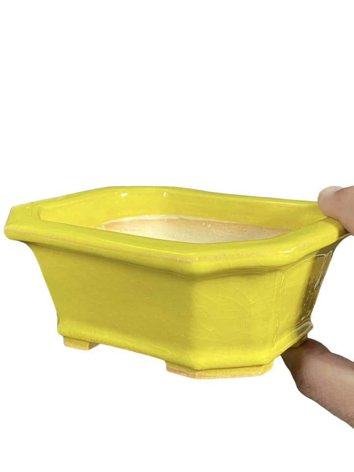 yellow glazed plant pot Fukuda Keiun