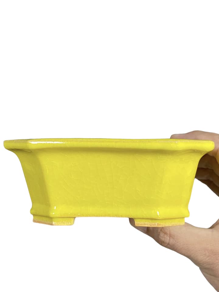 Fukuda Keiun - Bright Yellow Glazed Rectangle Bonsai Pot (5-7/16" wide)