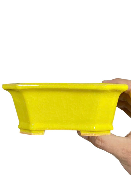 Fukuda Keiun - Bright Yellow Glazed Rectangle Bonsai Pot (5-7/16" wide)