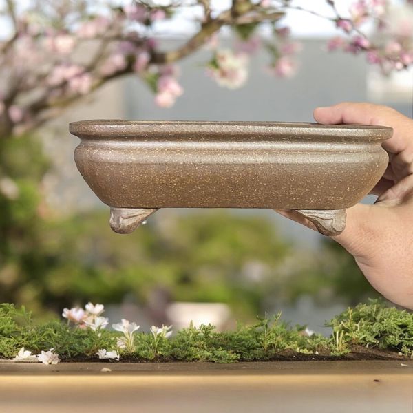 Gyozan - Beautiful and Rare Rectangle Bonsai Pot (6-7/8" wide)