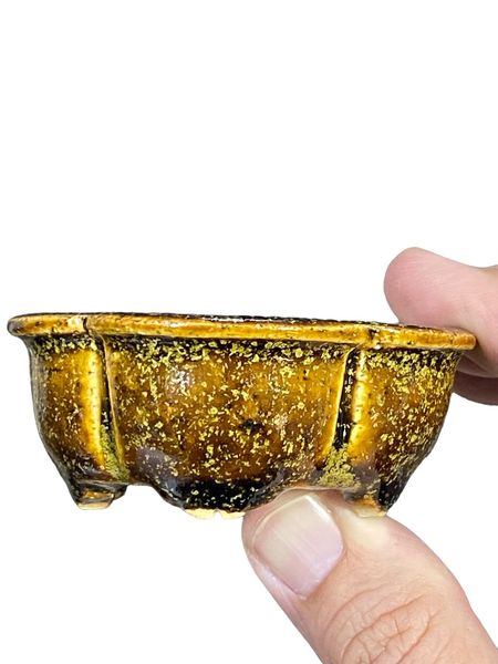 Kiyoshi Kiowai “Fuka” -  Stellar Gold Glazed Mokko Bonsai Pot (2-7/8" wide)