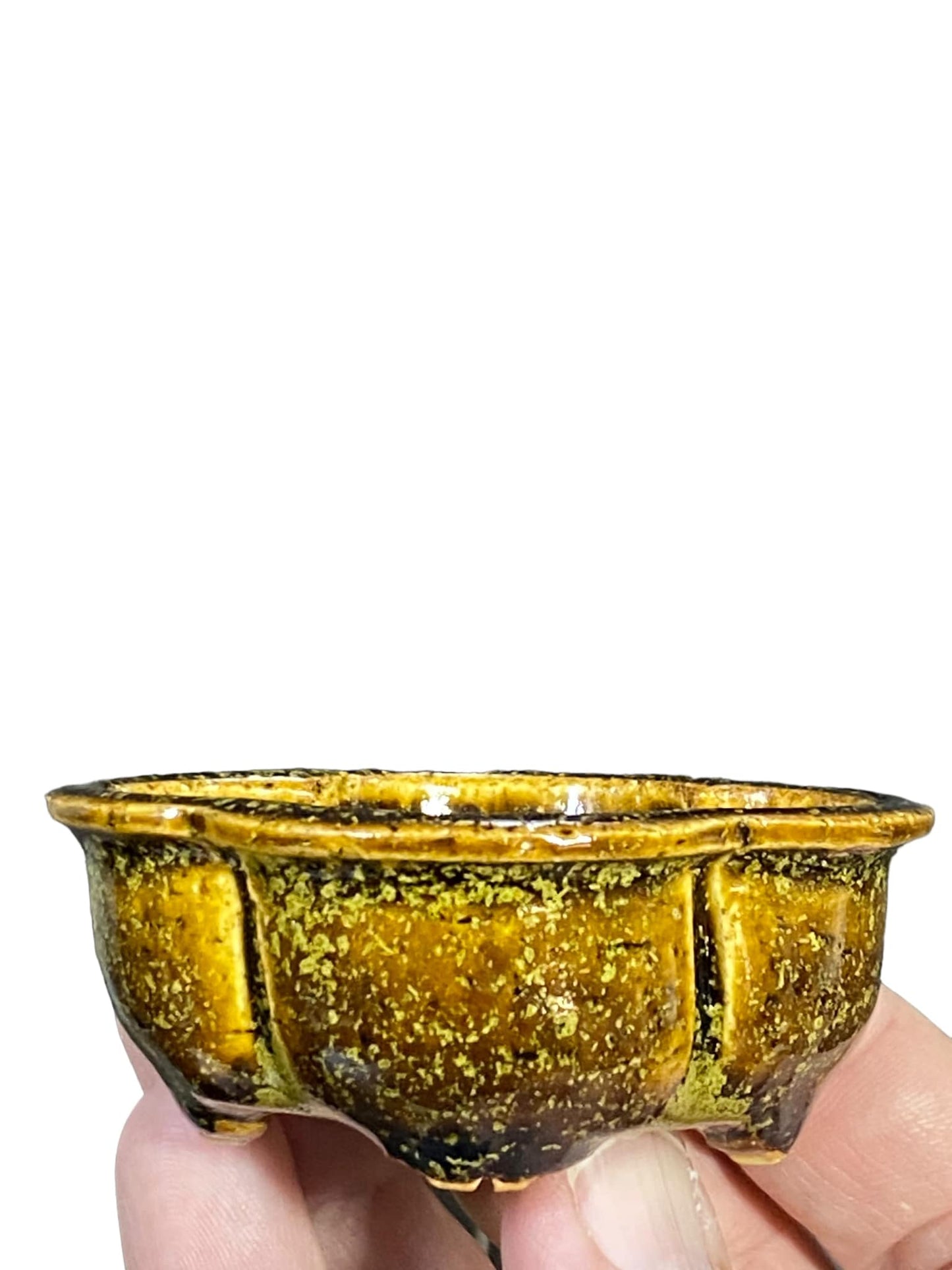 Kiyoshi Kiowai “Fuka” -  Stellar Gold Glazed Mokko Bonsai Pot (2-7/8" wide)