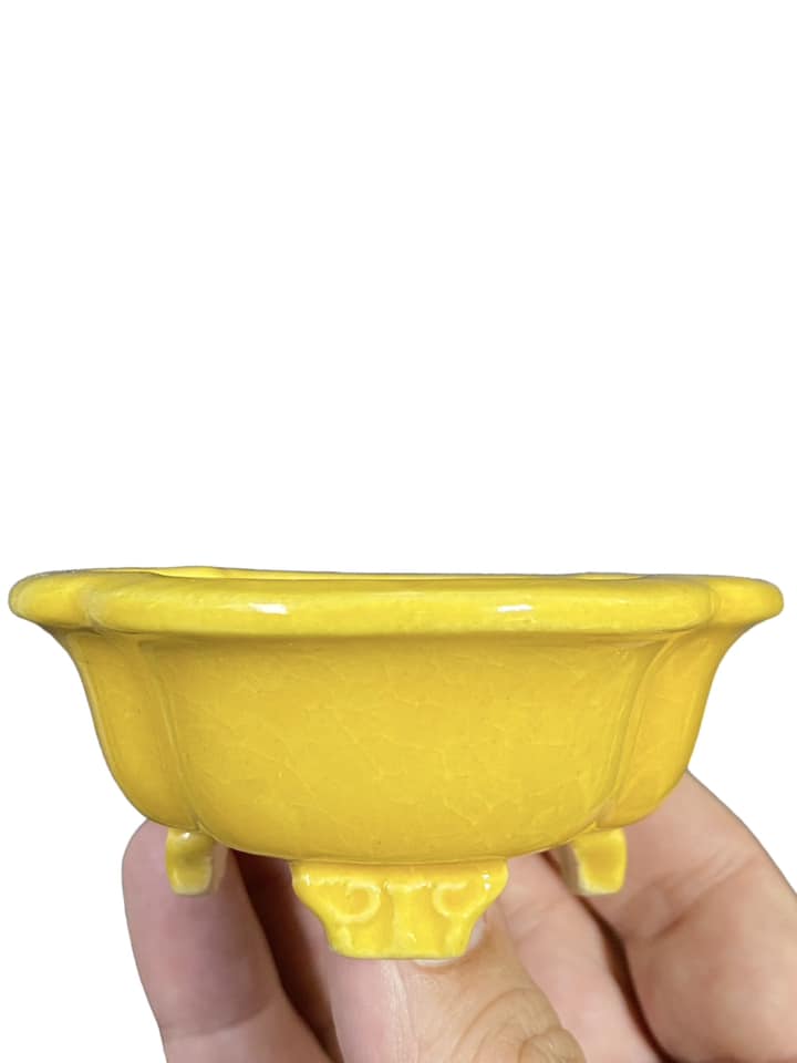 Koyo - Bright Yellow Glazed Footed Mokko Bonsai Pot (4-1/4" wide)