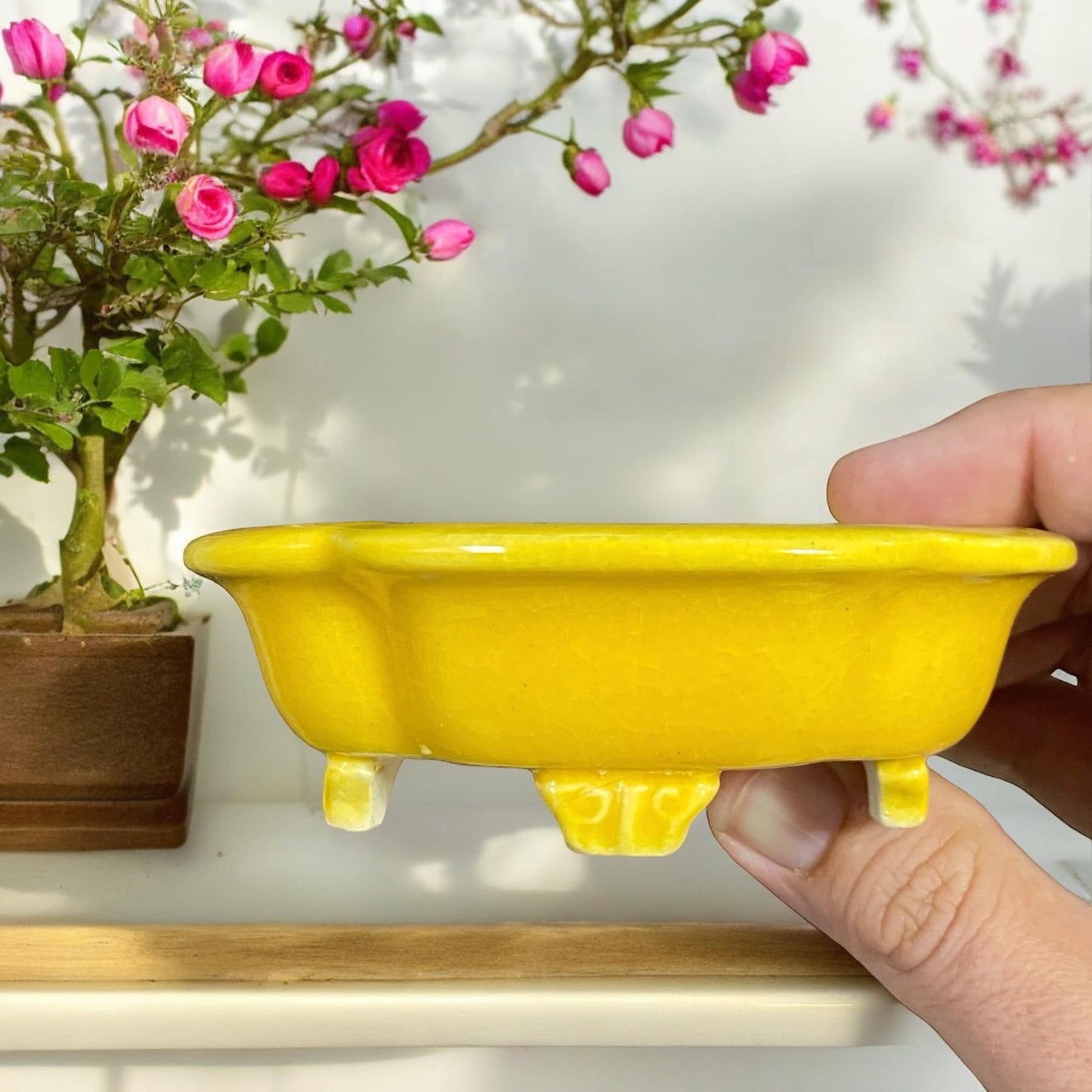 Koyo - Bright Yellow Glazed Footed Mokko Bonsai Pot (4-1/4" wide)