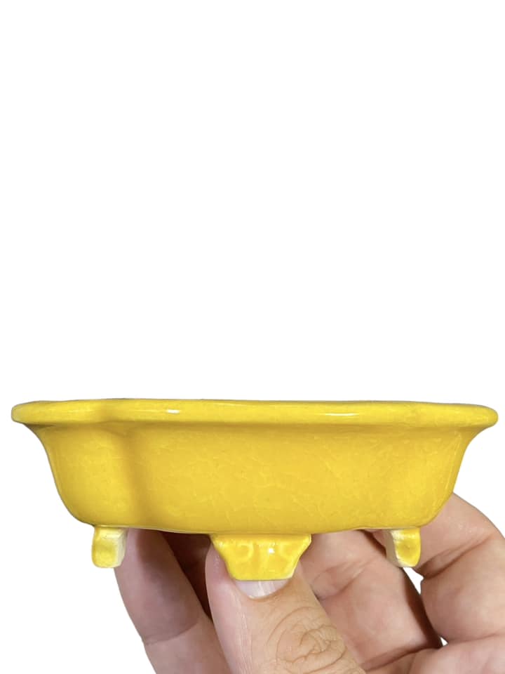 Koyo - Bright Yellow Glazed Footed Mokko Bonsai Pot (4-1/4" wide)