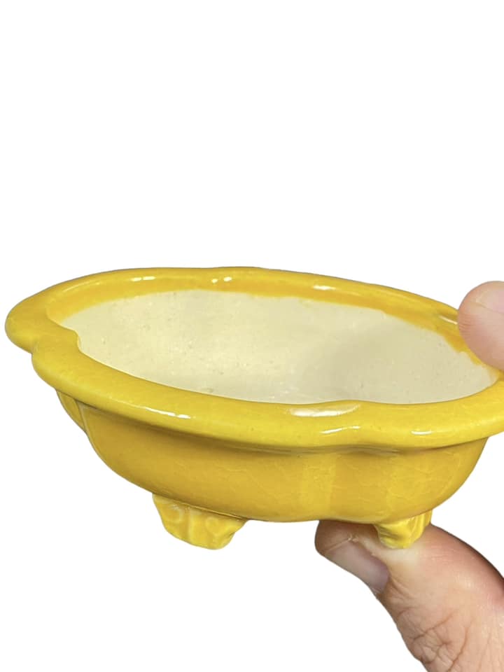 Koyo - Bright Yellow Glazed Footed Mokko Bonsai Pot (4-1/4" wide)