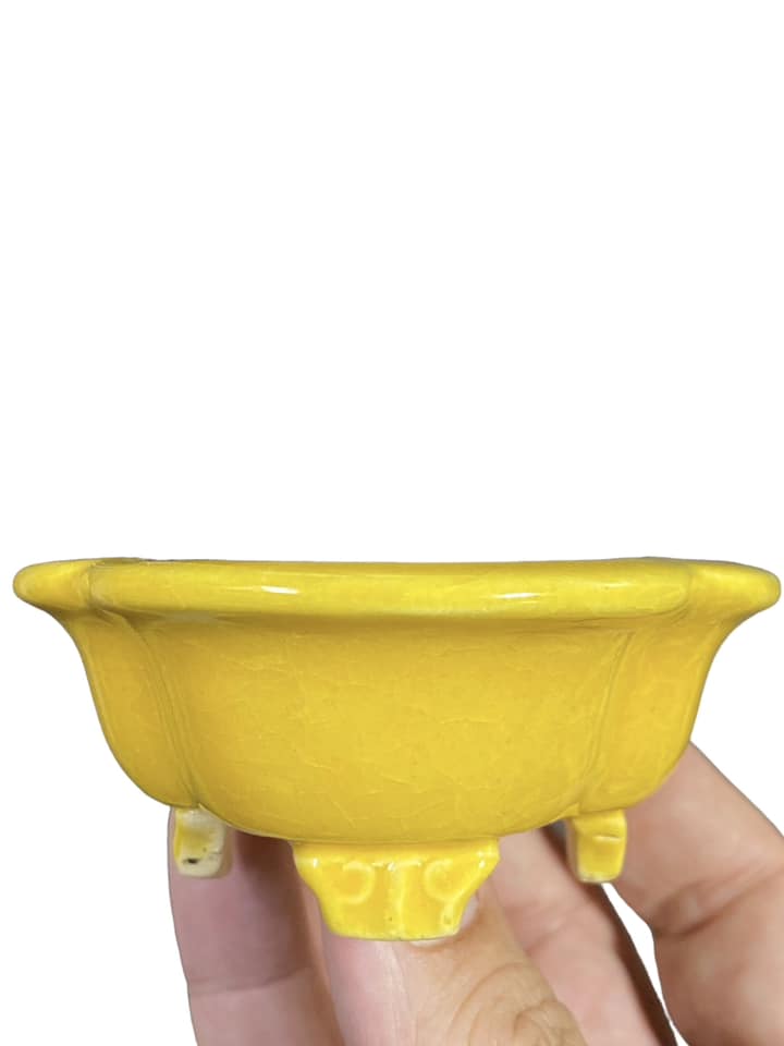 Koyo - Bright Yellow Glazed Footed Mokko Bonsai Pot (4-1/4" wide)