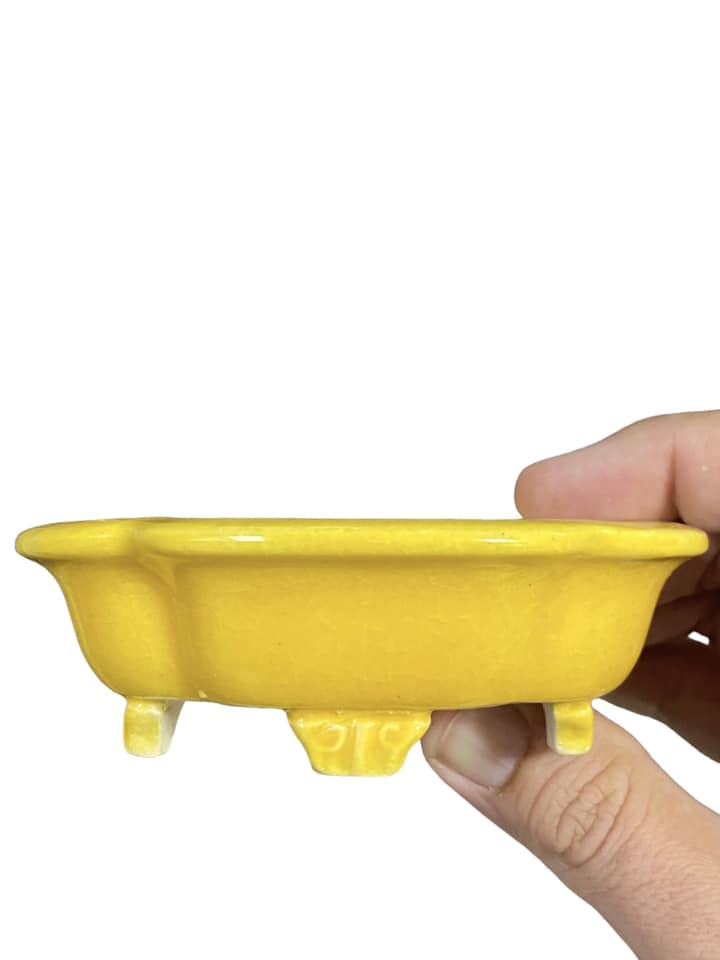 Koyo - Bright Yellow Glazed Footed Mokko Bonsai Pot (4-1/4" wide)