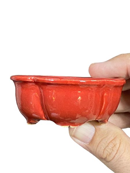 Kiyoshi Kiowai “Fuka” -  Rich Red Glazed Bonsai Pot (2-7/8" wide)