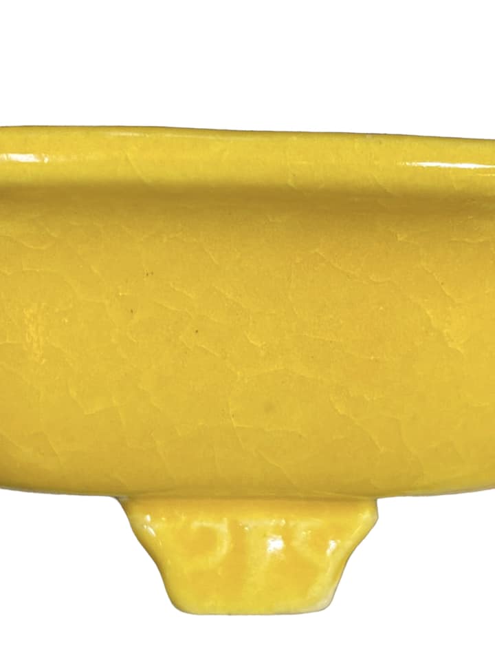 Koyo - Bright Yellow Glazed Footed Mokko Bonsai Pot (4-1/4" wide)