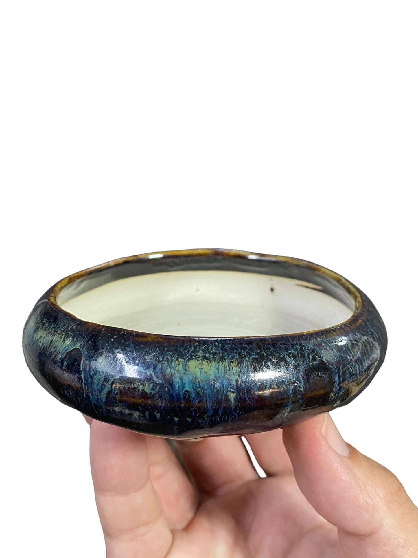 Shoseki - Stellar Glazed Curled Bowl Bonsai Pot (4-1/8" wide)