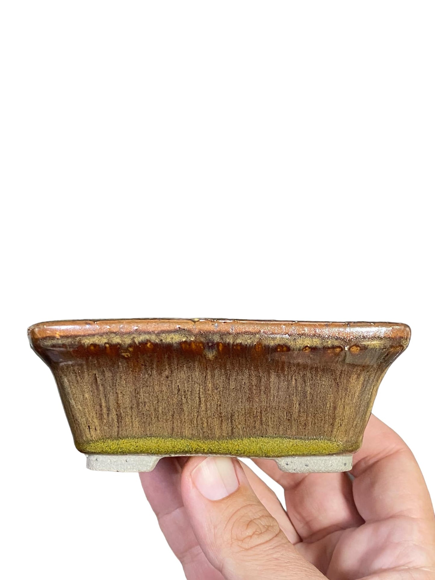 Shoseki - Rare Color Glazed Rectangle Bonsai Pot (4-3/4" wide)