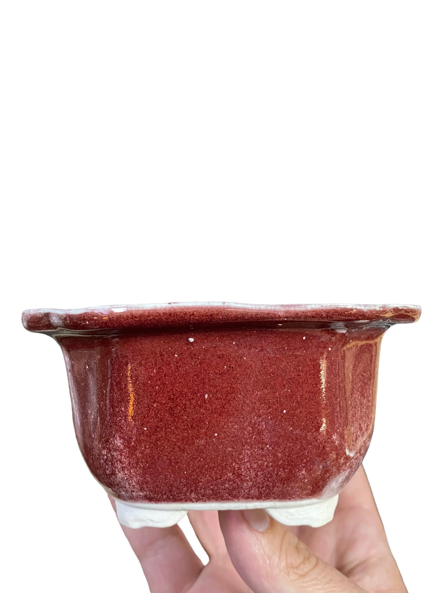 Shoseki - Cinnabar Glazed Mokko Bonsai Pot (5-1/2" wide)