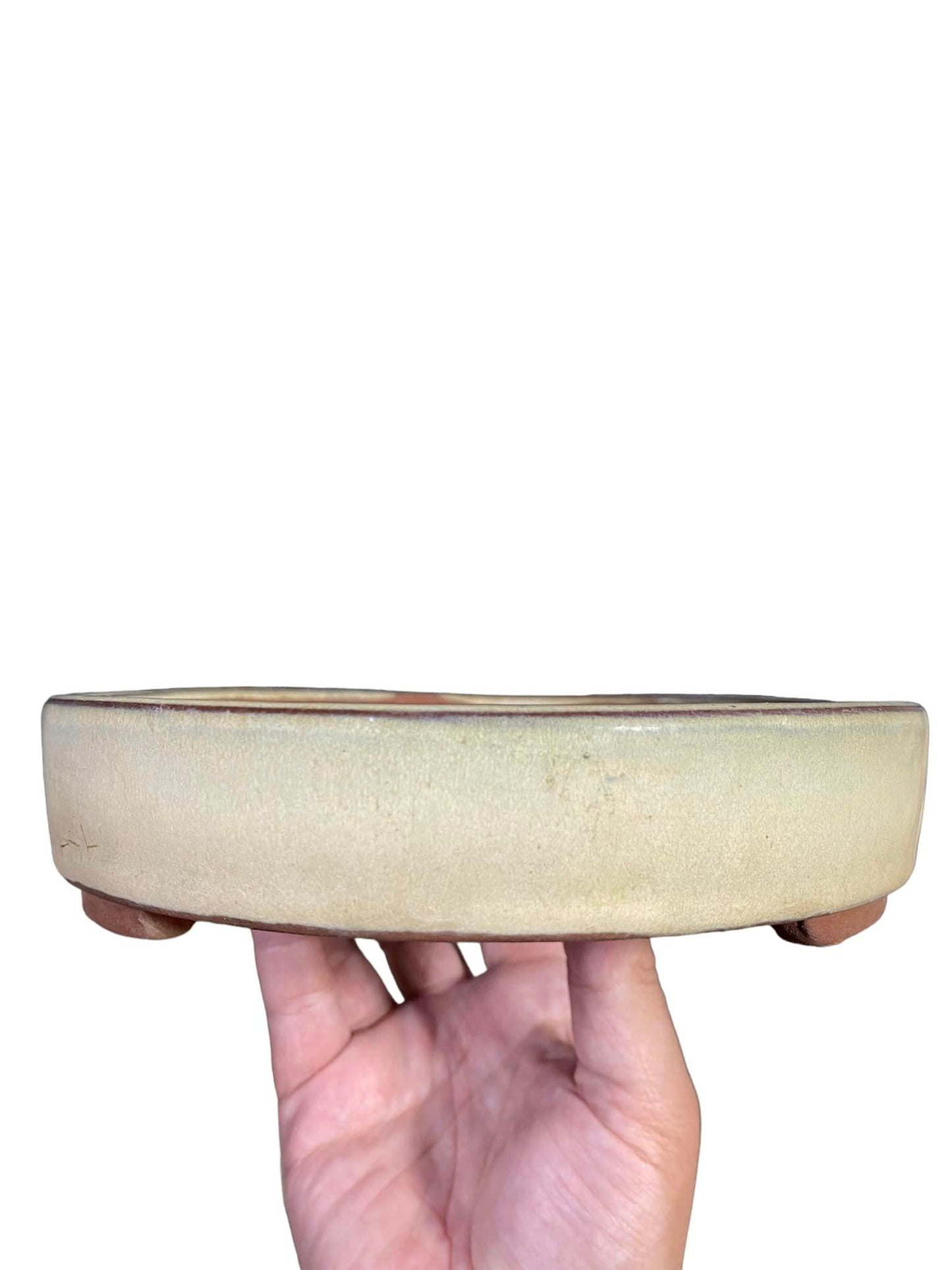 Japanese - Large Cream Glazed Oval (10-5/8" wide)