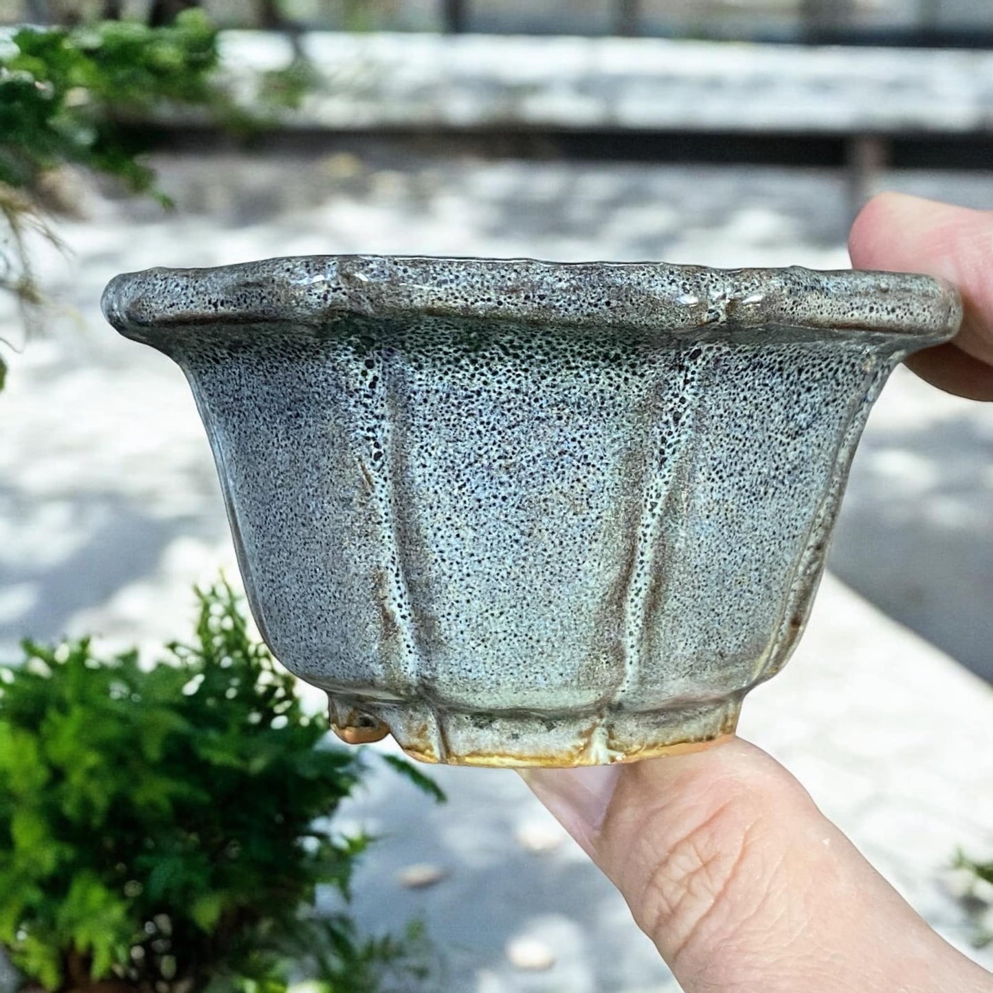 Shuho - Stunning Glazed Mame Rinka Bonsai Pot (3-3/4" wide)