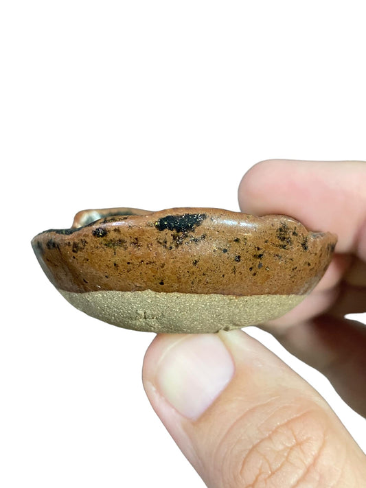 Shoseki - Brown Glazed Freeform Mame Bowl (2" wide)