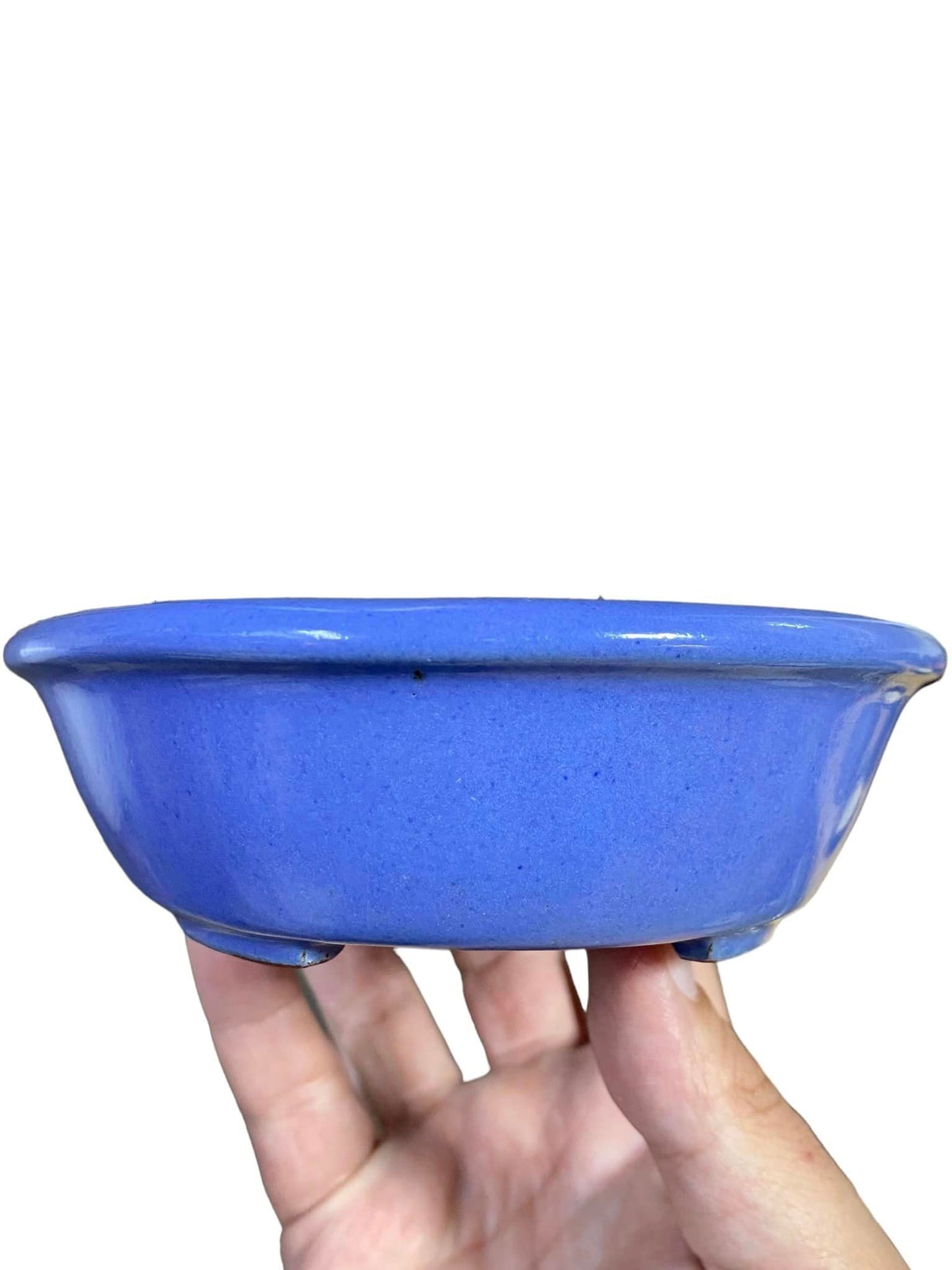 Ikko -  Periwinkle Blue Glazed Oval Bonsai Pot (7-1/8" wide)