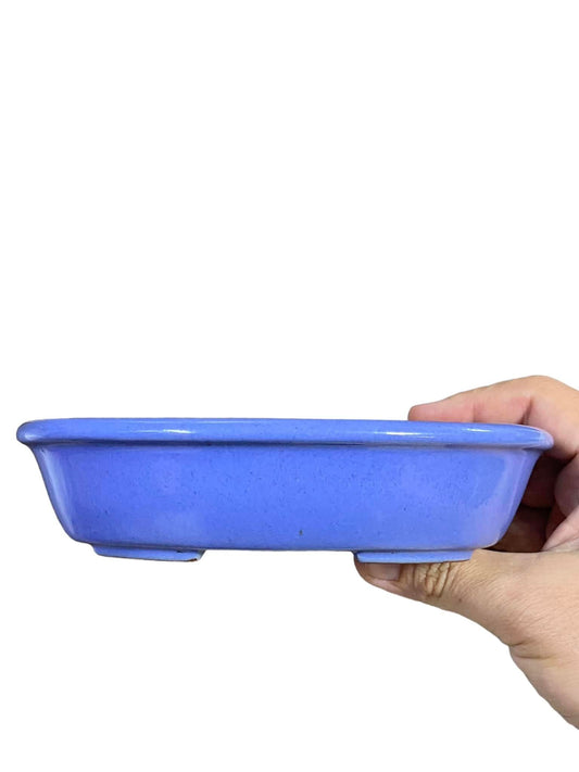 Ikko -  Periwinkle Blue Glazed Oval Bonsai Pot (7-1/8" wide)