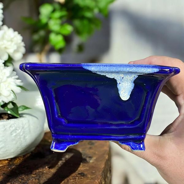 Satomi Terahata - Stunning Cobalt Crackle Glazed Pot (5" wide)