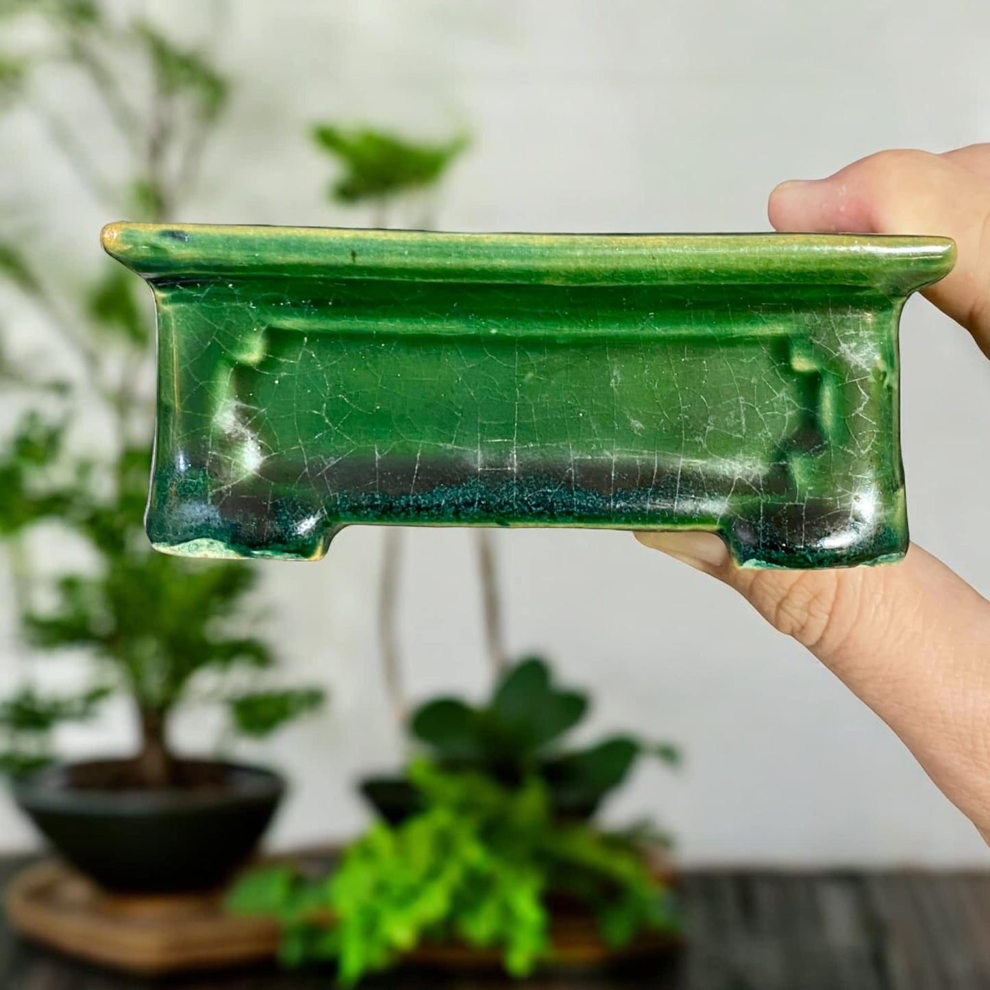 Heian Kosen - Old Green Glazed Rectangle Bonsai Pot (4-3/8" wide)