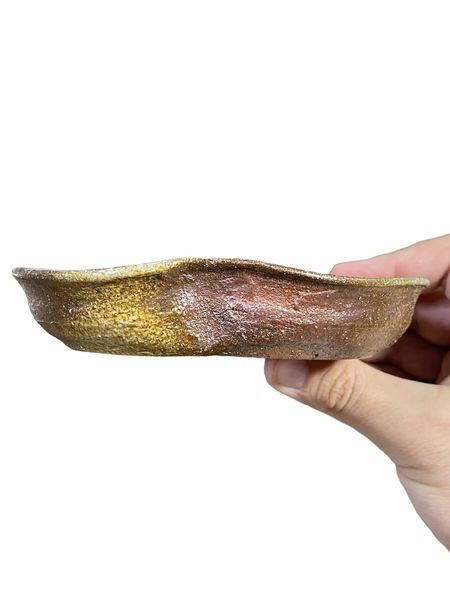 Japanese - Shallow Nanban Style Bonsai Pot with Lip Curl (5-5/8" wide)