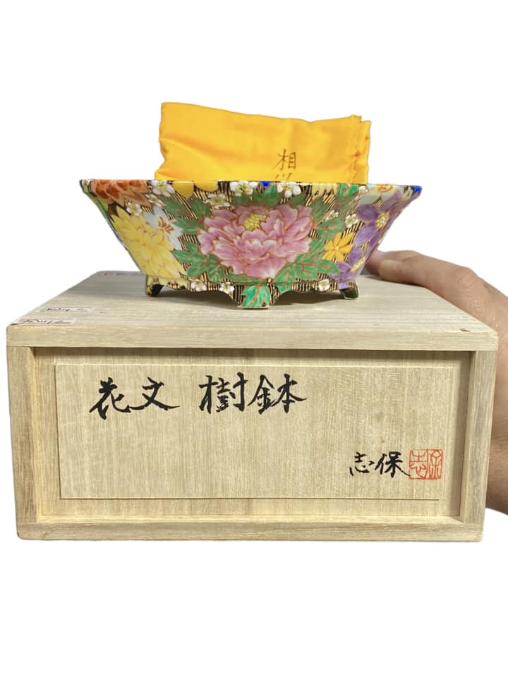 Kutani / Aikawa Shiho -  Quality Hand-painted Mokko Bonsai Pot (5-7/8" wide)