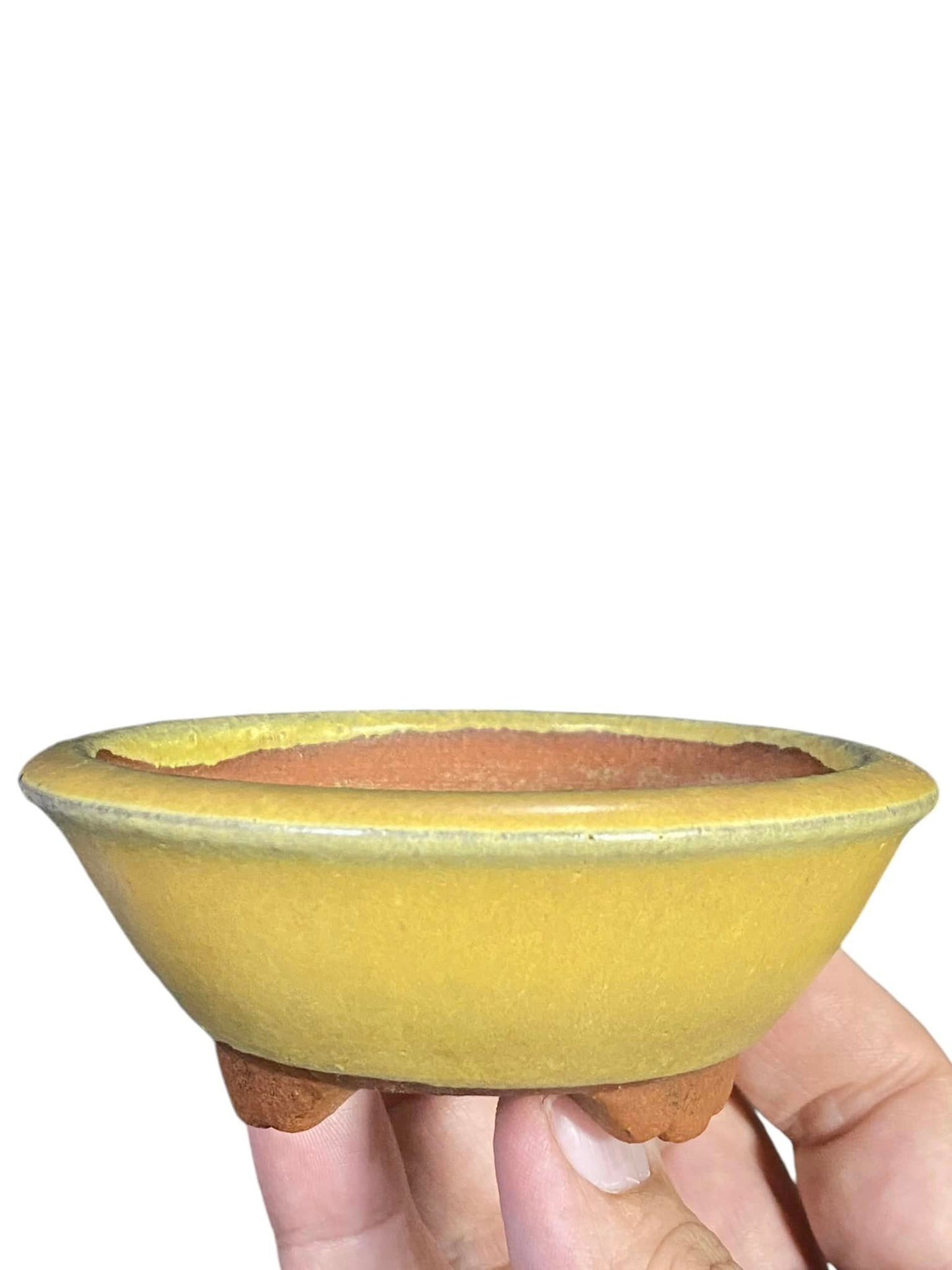 Yozan - Old Subtle Yellow Glazed Oval Bonsai Pot (3-15/16" wide)