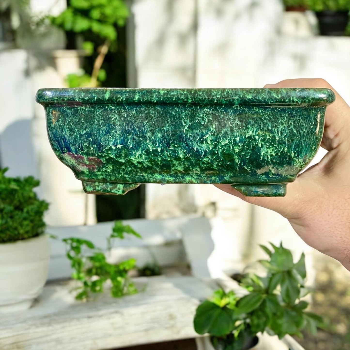 Shuho - Stellar Glazed Rectangle Bonsai Pot (7-3/16" wide)