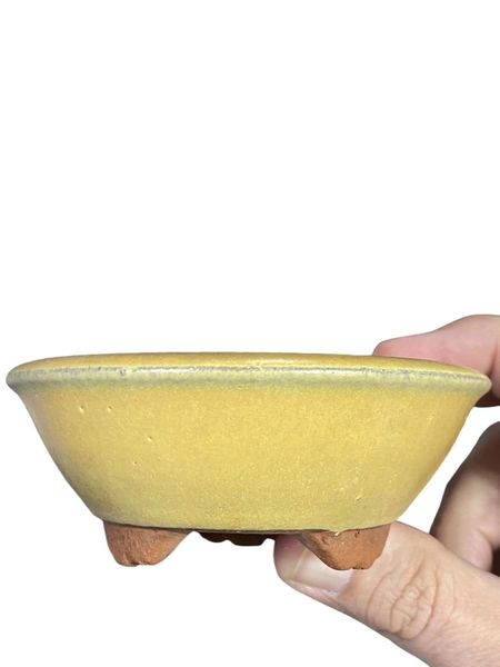 Yozan - Old Subtle Yellow Glazed Oval Bonsai Pot (3-15/16" wide)