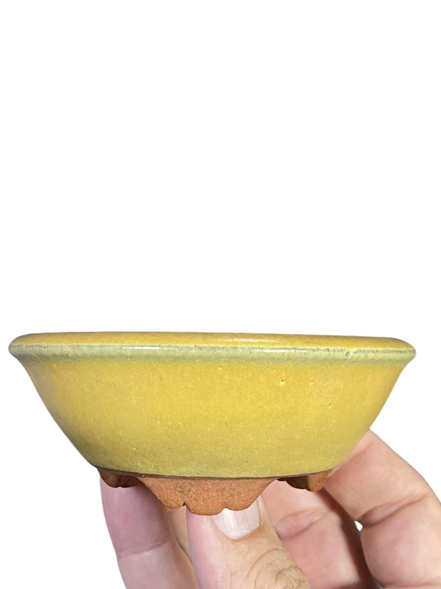 Yozan - Old Subtle Yellow Glazed Oval Bonsai Pot (3-15/16" wide)