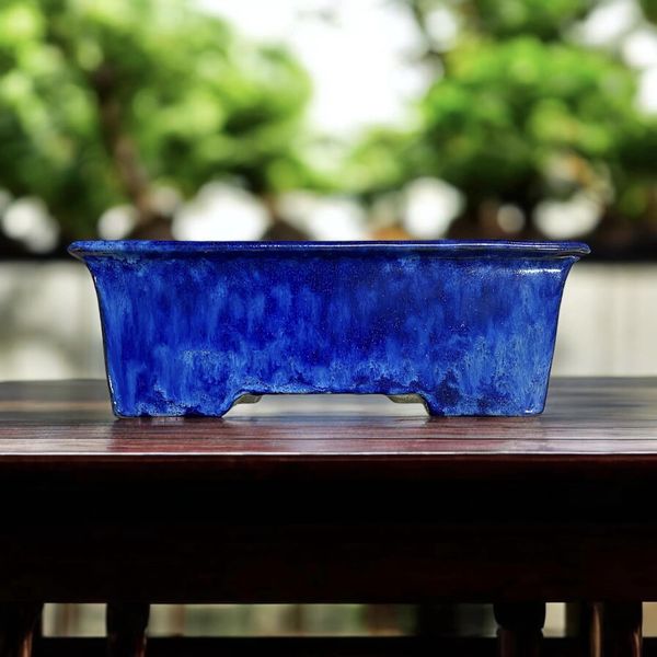 Shuho - Stunning Glazed Rectangle Bonsai Pot (12" wide)