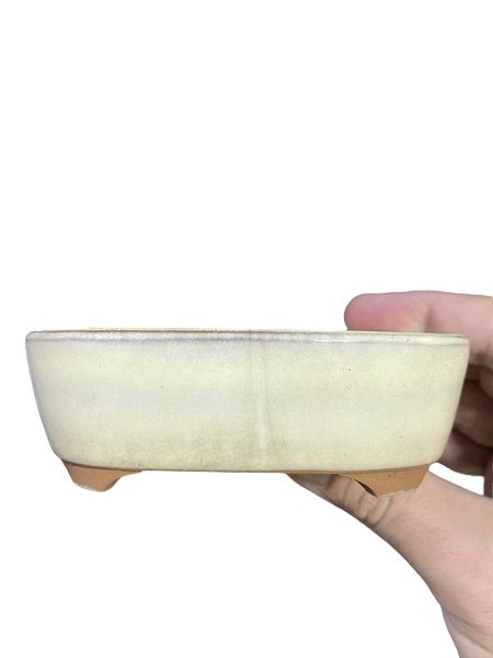 Maruto - Old Cream Glazed Oval Bonsai Pot (4-5/16" wide)