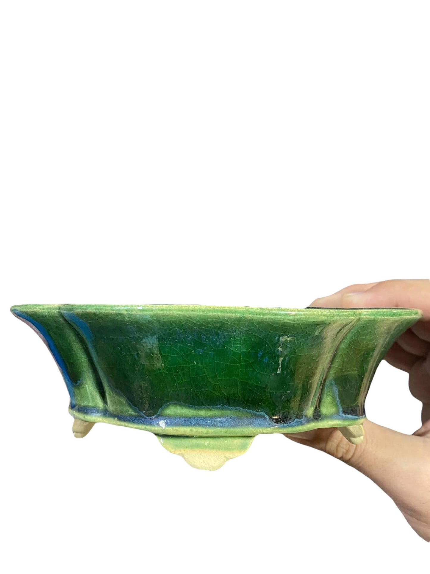 Fukuda Keiun - Green Glazed Mokko Bonsai Pot (7" wide)