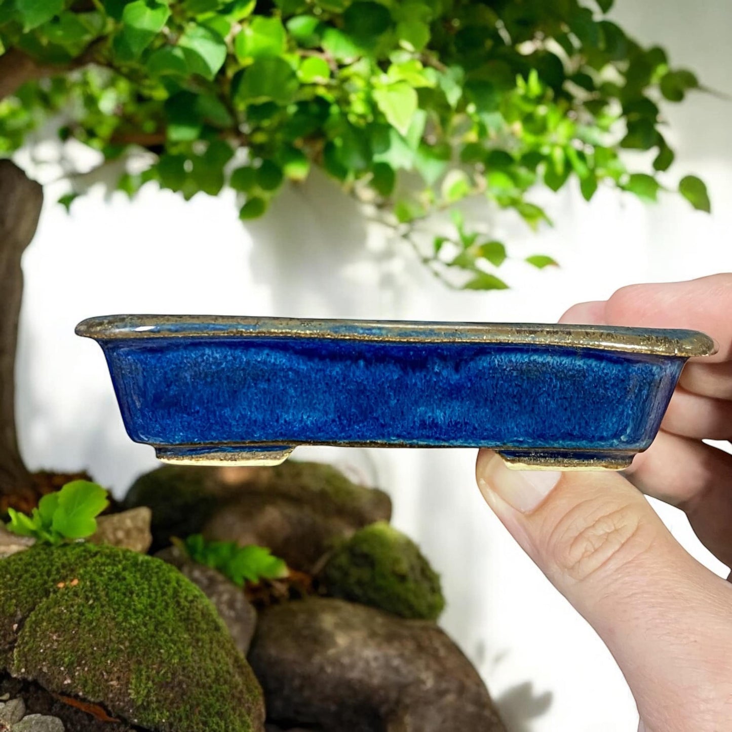 Dokou - Namako Blue Glazed Rectangle Bonsai Pot (4-1/2" wide)