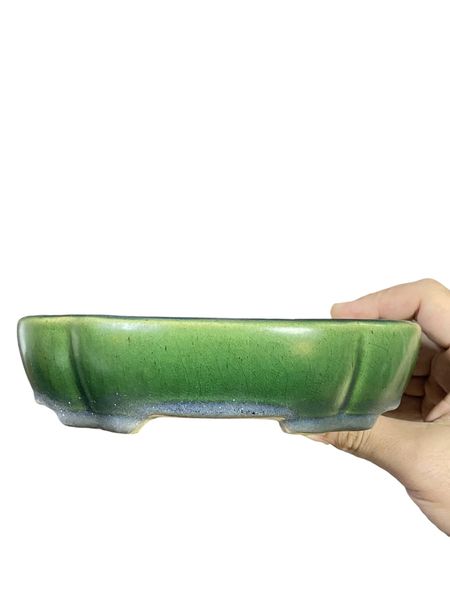 Youmei Kouchi - Stellar Crackle Glazed Mokko Shaped Bonsai Pot (7-3/8" wide)