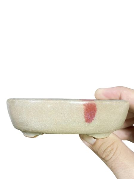 Isso - Crackle Glazed Bonsai Pot with Accent (4")