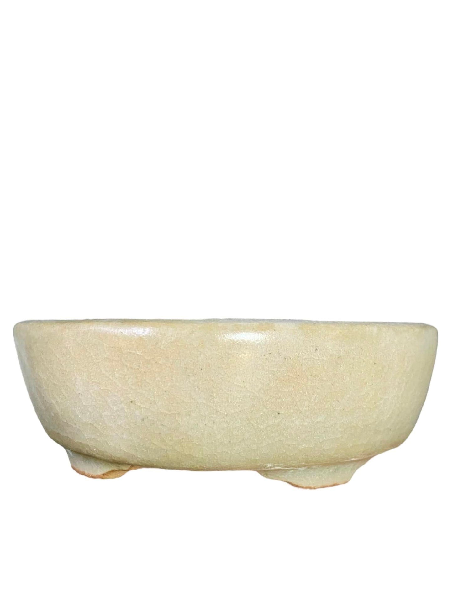 Isso - Crackle Glazed Bonsai Pot with Accent (4")