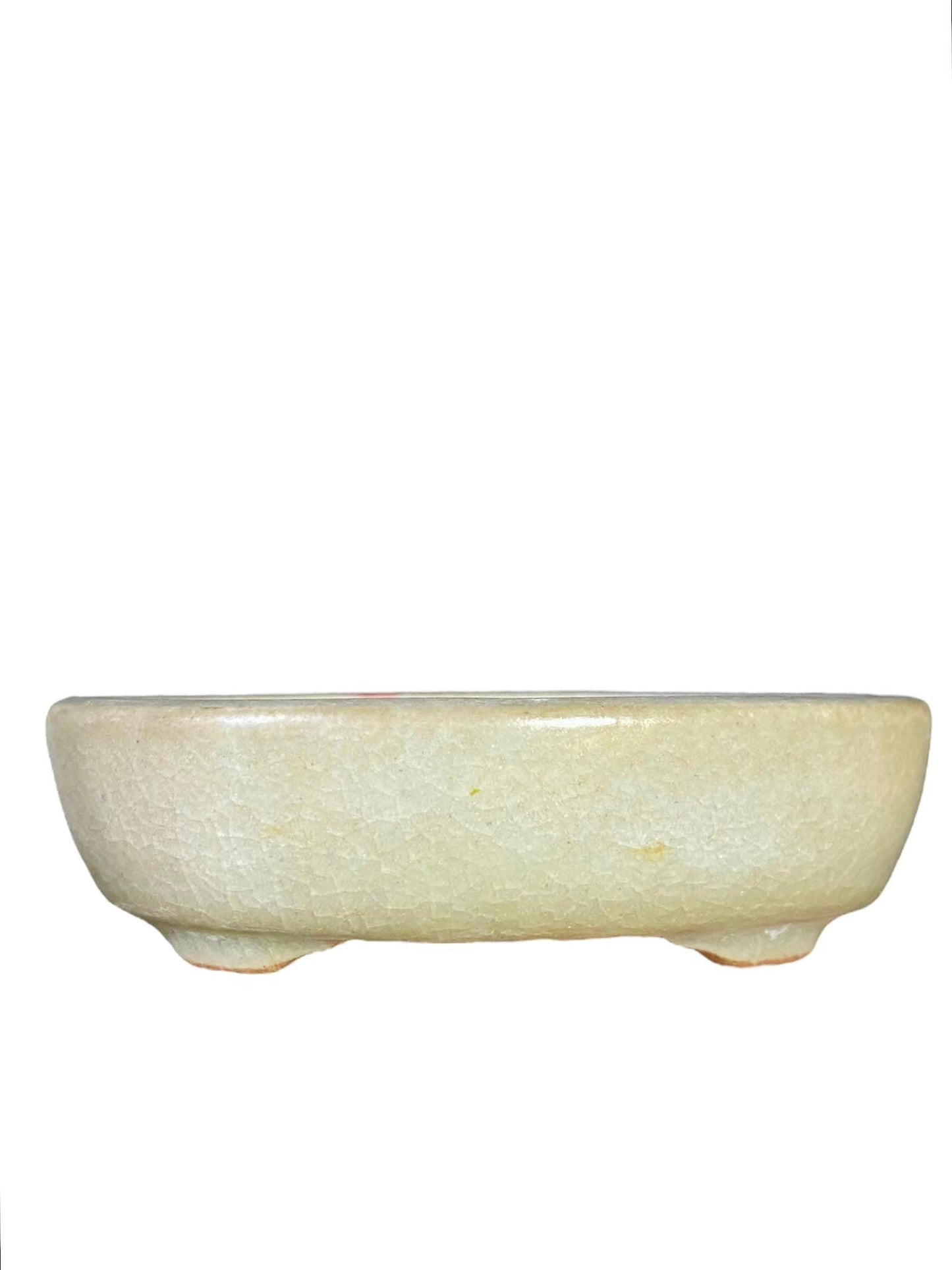 Isso - Crackle Glazed Bonsai Pot with Accent (4")