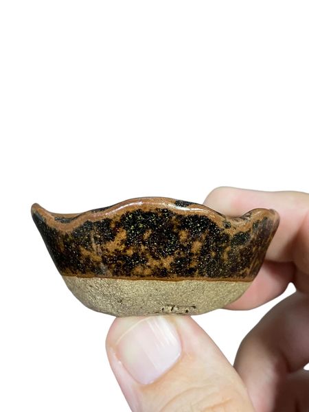 Shoseki - Shallow Round Mame Bowl Bonsai Pot (2-1/4" wide)