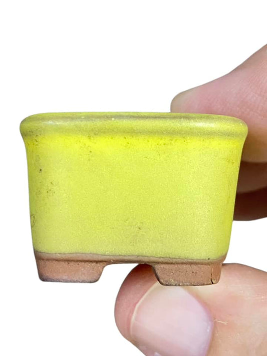 Bunzan - Old Bright Yellow Glazed Mame Square Bonsai Pot (1-1/4" wide)