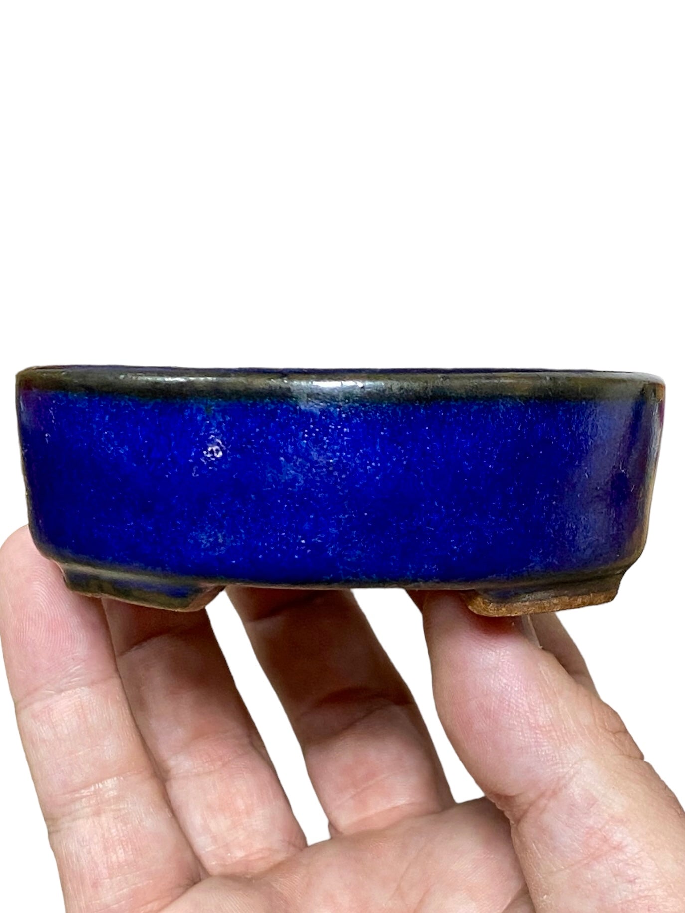 Hattori - Rare Older Blue Oval Bonsai Pot
