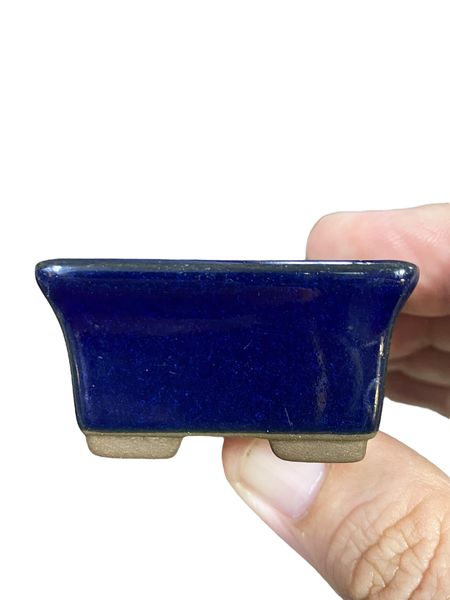 Japanese - Mame Glazed Rectangle Bonsai Pot (2" wide)