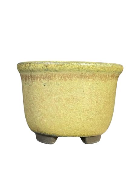 Japanese - Mame Yellow/Tan Glazed Bowl Bonsai (1-3/4” wide)