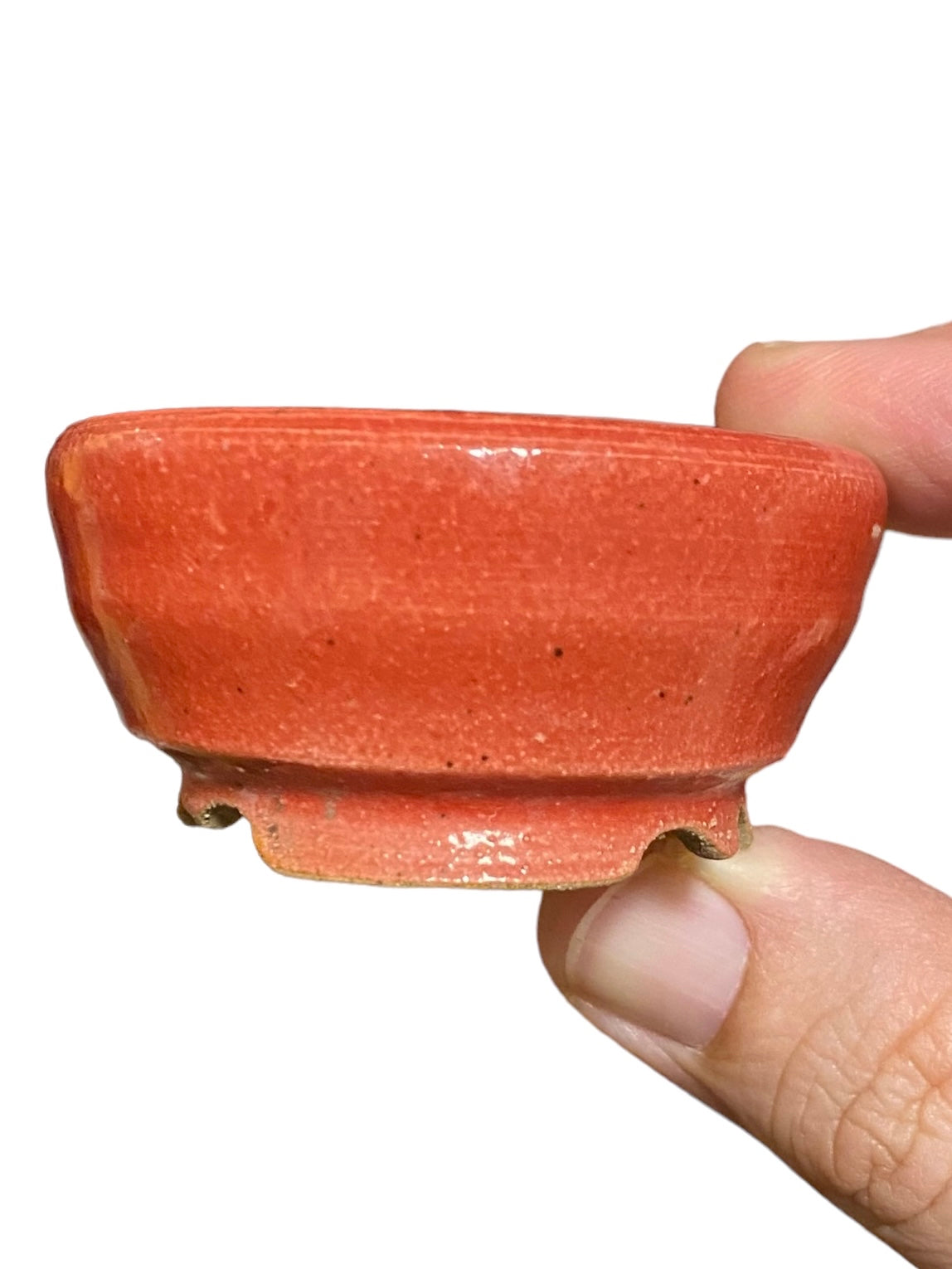 Shoseki - Crimson Glazed Bonsai or Accent Pot