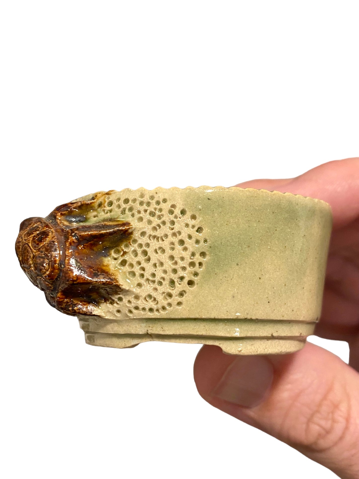 Takudo - Glazed Turtle Mame Bonsai or Accent Pot