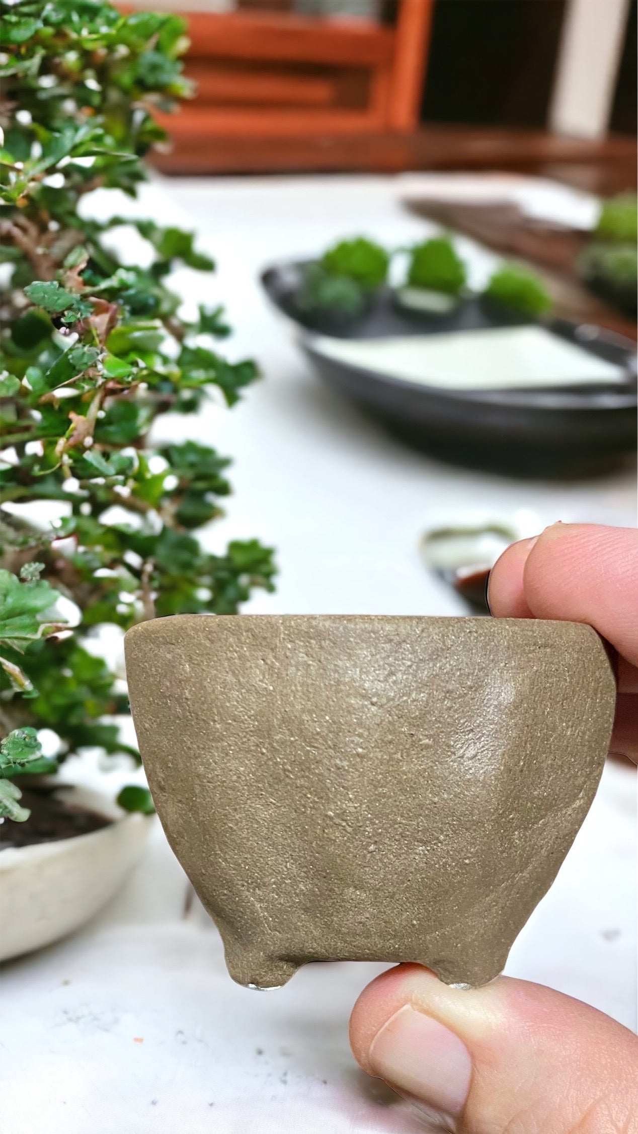 Syouzan - Handmade Mame Bowl Bonsai or Accent Pot