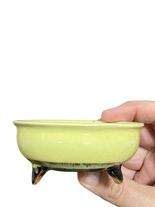 Heian Kosen - Glazed Footed Bowl Bonsai Pot